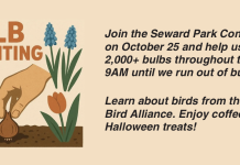Seward Park Conservancy Hosts Annual Bulb Planting Day
